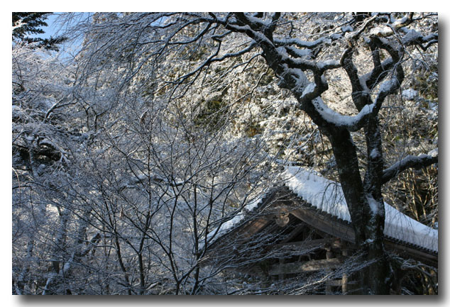 雪景色の光前寺_d0149663_1785536.jpg