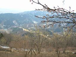 f0139963_7113331.jpg
