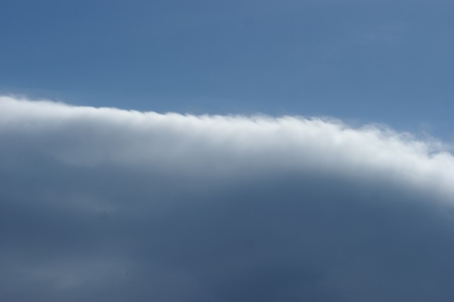 d0141365_20525151.jpg