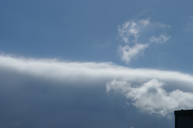 d0141365_20543237.jpg