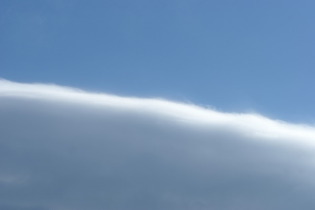 d0141365_20545758.jpg