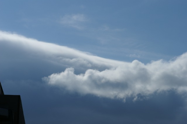 d0141365_20551260.jpg