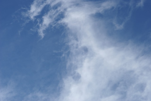 d0141365_20584931.jpg