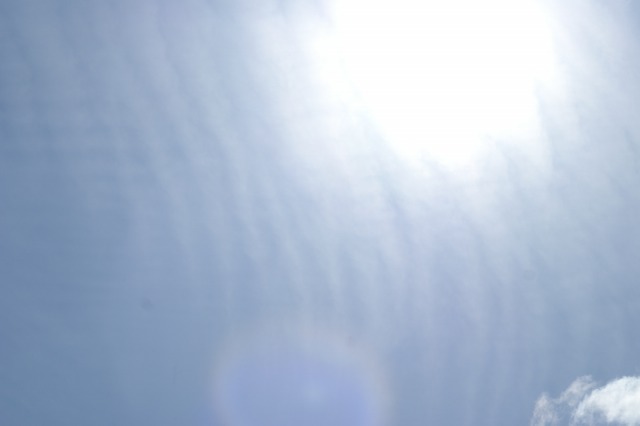 d0141365_20592983.jpg
