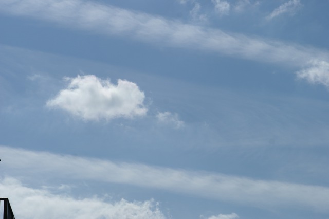 d0141365_210054.jpg