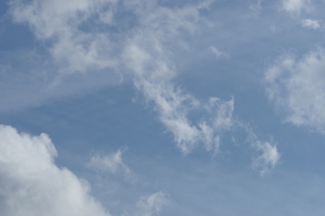 d0141365_2115410.jpg