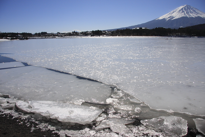 河口湖の凍結_e0069488_1229687.jpg