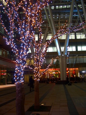 d0121294_1425285.jpg