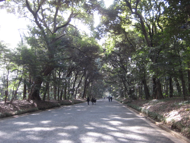 ヨガ教室_a0091095_21415334.jpg
