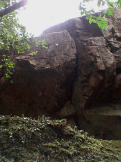 a0043698_15677.jpg