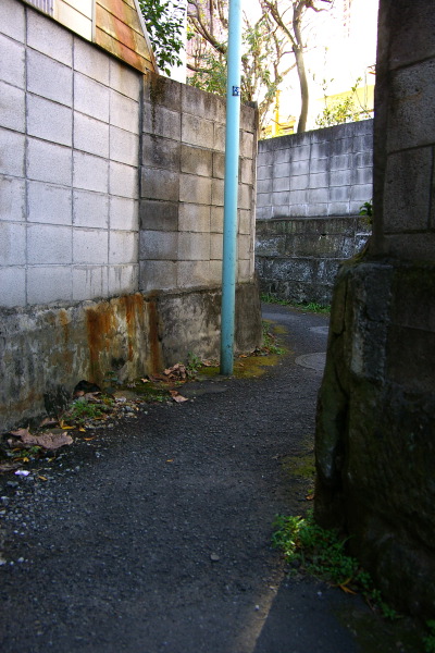 羅漢寺川暗渠の路地を行く・前編_b0053019_21432965.jpg