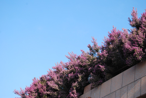 f0003919_1513389.jpg