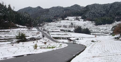 雪の道　２００８・２・１４_f0000521_7352242.jpg