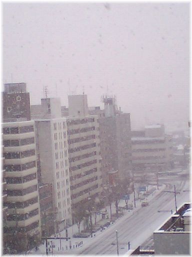 f0002322_82610.jpg