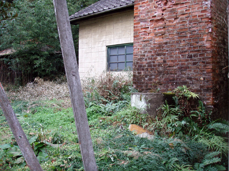 d0110641_2035157.jpg