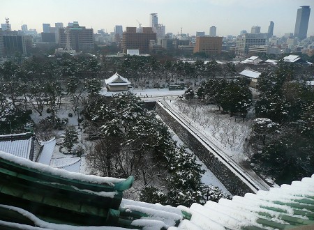 早春の尾張・三河の旅 vol.1 名古屋城_c0057946_1938233.jpg