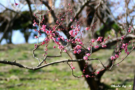 c0127748_8142548.jpg