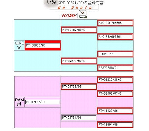 いぬの親類が、思いがけない所に！_a0089450_20575788.jpg