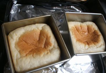 f0096955_1205566.jpg