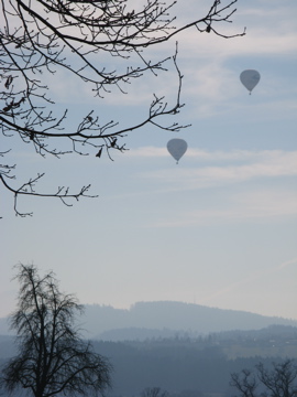 Am letzten Sonntag!_b0102075_1713610.jpg