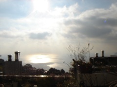 2008年2月13日 風邪あり,牡蠣あたりあり。。。 _b0098584_6274545.jpg