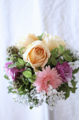 d0100192_2124830.gif