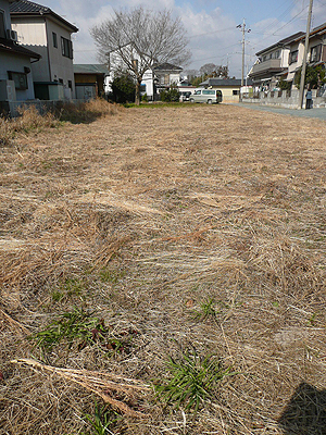 浜松通い、、、。_b0014003_9331976.jpg