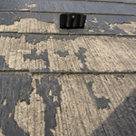 d0133211_13594498.gif