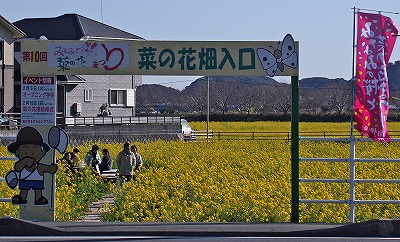 a0087818_13573325.jpg