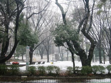 東京にも雪が降ったよ～♪_f0155118_1294899.jpg