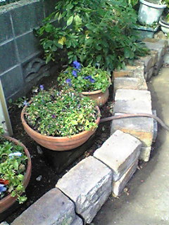 f0011022_1829956.jpg