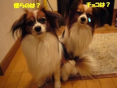 e0100046_23124961.jpg