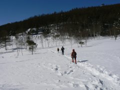 大沢山スノーシュー下見_f0019247_2335444.jpg