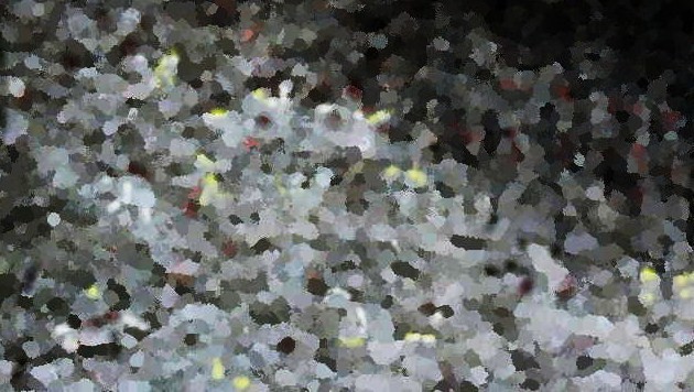 e0126350_15434375.jpg