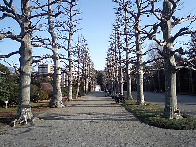 a0081172_20134859.jpg