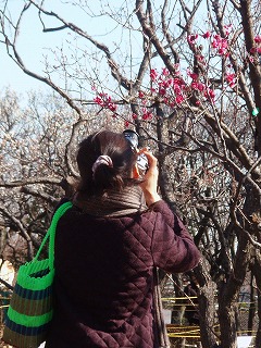 羽根木公園 ～第31回せたがや梅まつり 遠景編_c0105785_11381887.jpg