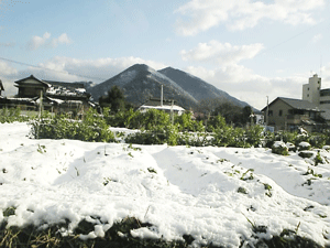 a0096787_21342169.gif