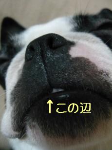 e0110089_2012123.jpg