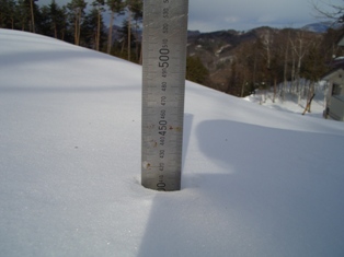 c0099395_9481966.jpg