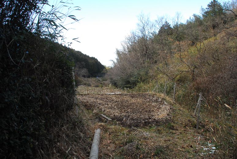 ウラゴマダラシジミ＠旧山香町　日出町　大分県_b0093800_19121742.jpg