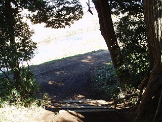f0147602_1441992.jpg