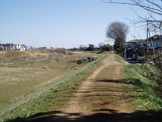 f0147602_1443542.jpg