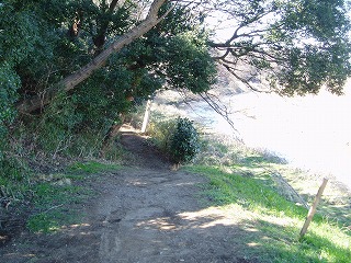 f0147602_1445530.jpg
