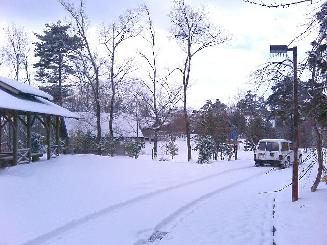 a0072808_12285293.jpg