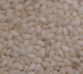 e0112213_10321011.jpg
