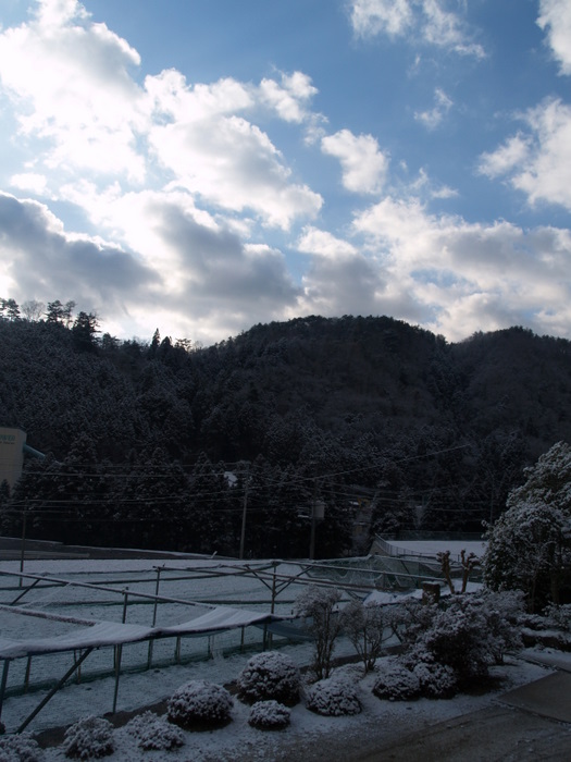 今朝も雪。。_c0116915_1856690.jpg