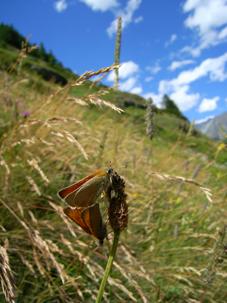 d0054625_23292962.jpg