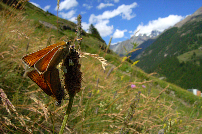 d0054625_23295593.jpg