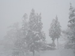 f0054731_1944877.jpg