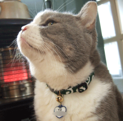 f0008935_15574351.gif